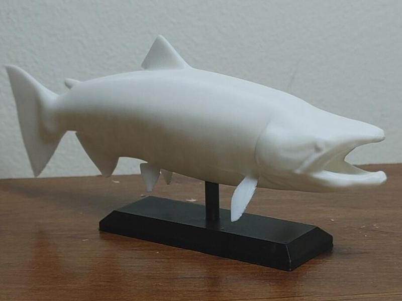 King Salmon Fish Mount 2