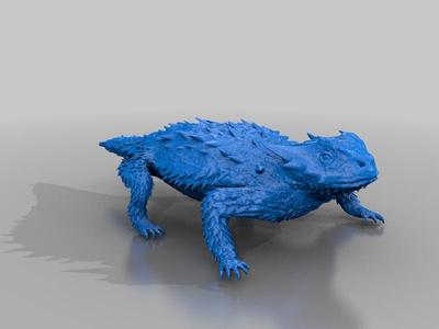 Blainsville Horned Lizard
