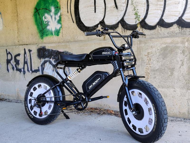 20 inch Ebike wheel disc covers Meelod Dk300 