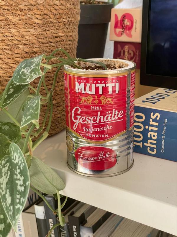 Can Planter - Grow your plants in your favourite can