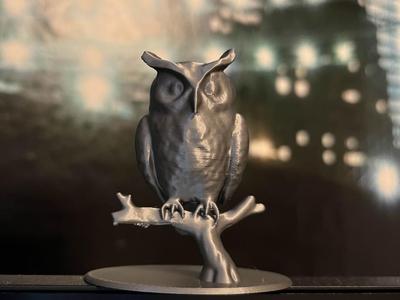 Owl sitting on a branch