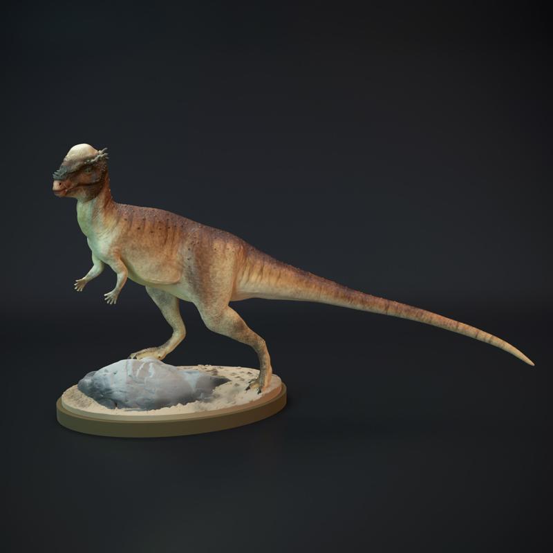 Pachycephalosaurus standing dinosaur