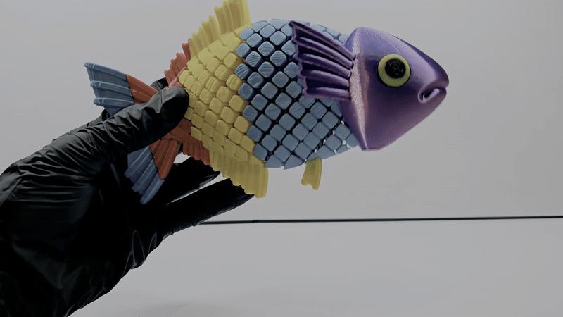 Flexi Rainbow Fish   