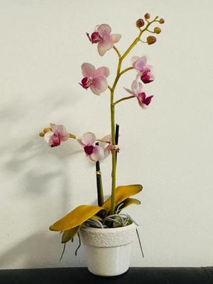 Small simple planter with fuzzy border   