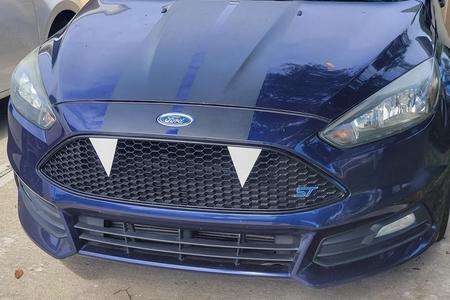 Focus ST Fangs