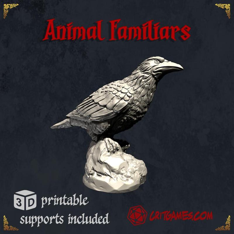 Raven Animal Familiar