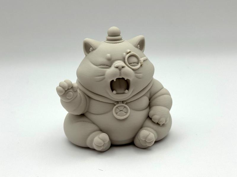 Greeting Chonky Cat