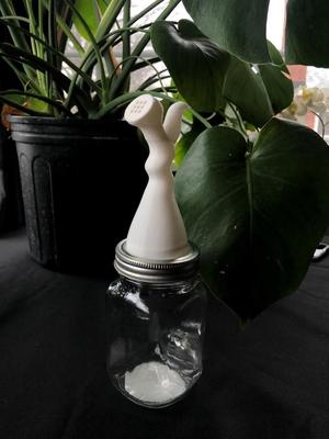 Mason Jar Plant Watering Attachment