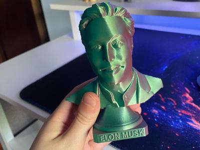 Elon Musk statue 