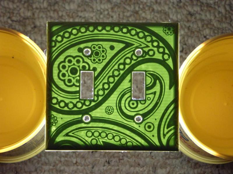 Light Switch Cover w/ Paisley Pattern