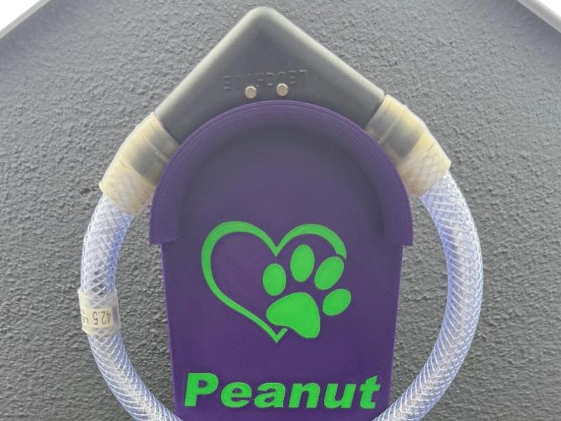 Illuminated Collar Holder. Dog Collar 