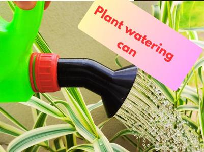 Plant shower, make a watering can from a jug 