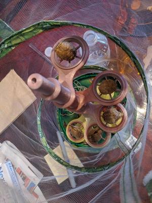 Grate of Holding for Spiral Stand