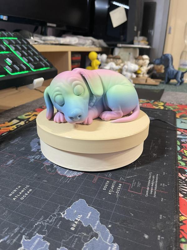 Dachshund in Cartoon Style – Curled-Up Sleeping Pose