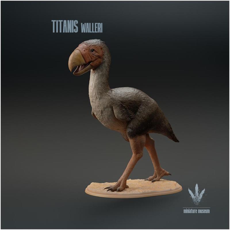 Titanis walleri : The Terror Bird
