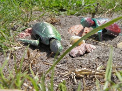 Myrtle the sea turtle