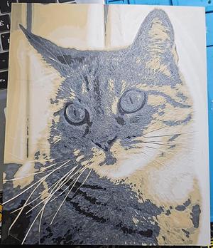 Cat HueForge