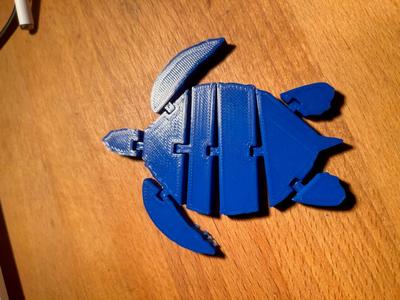 Flexi Turtle