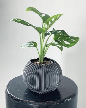 Planter Stand 3