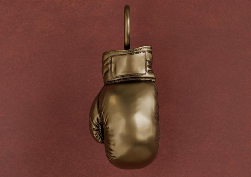 Boxing glove V3 - Pending
