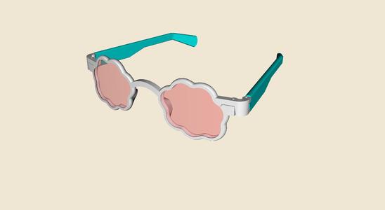Eyeglasses Sunglasses