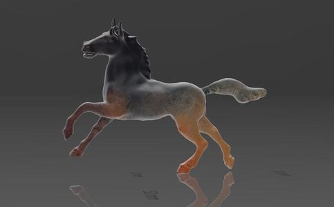 Ready to Fight Horse