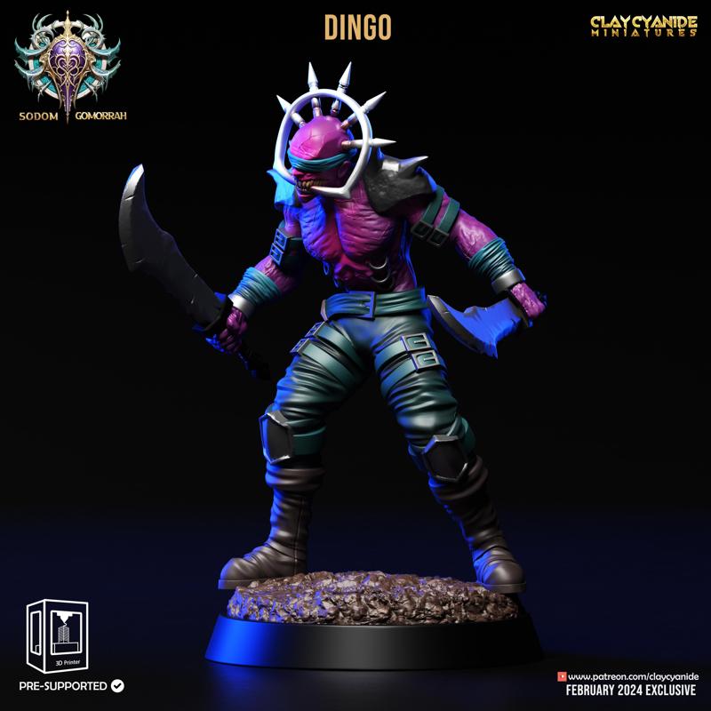 Dingo