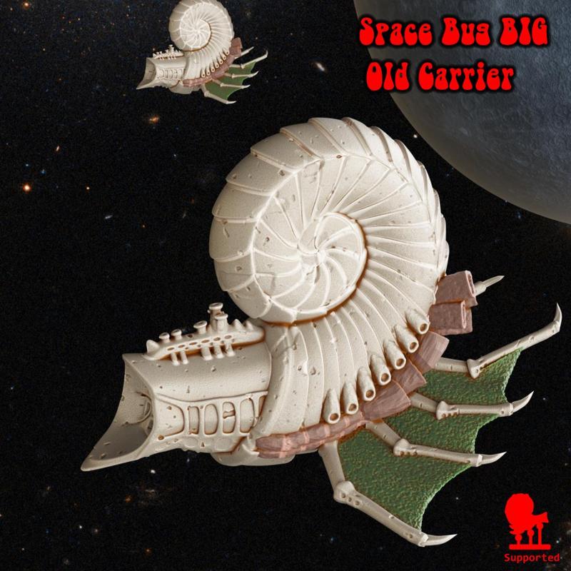 Space Bug Big Old Carrier