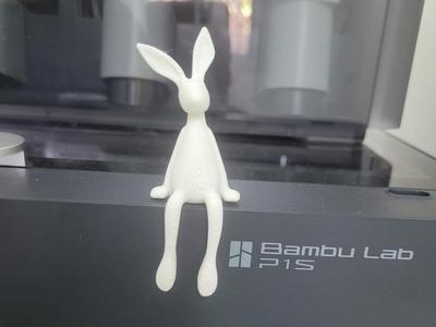 rabbit sitting