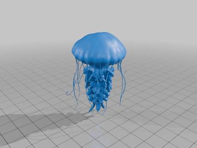 Jelly Fish