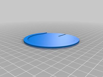 Licence disc holder