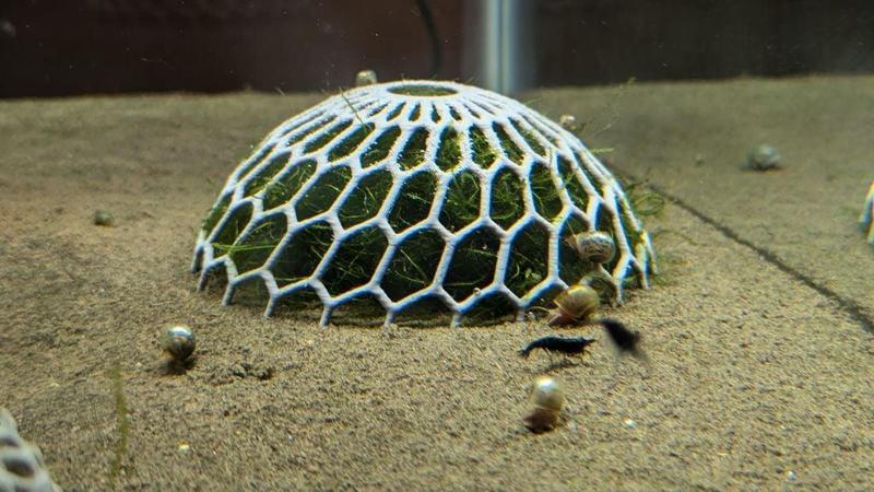 Moss Dome Plant Holder (easier to print) remix