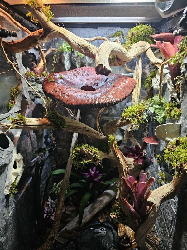 18x18x36 Gecko Enclousure All Prints