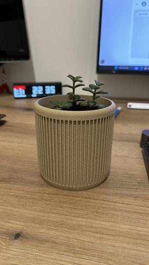 Vase à rainure, pour plante grasse