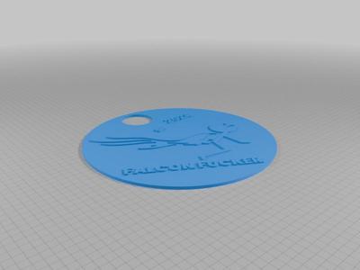 Crowdstrike Meme Medallion
