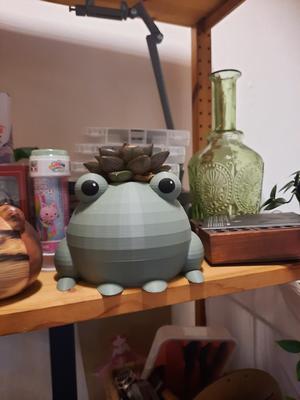 Frog plant pot