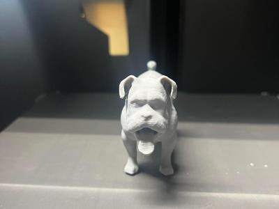 Tank Pup