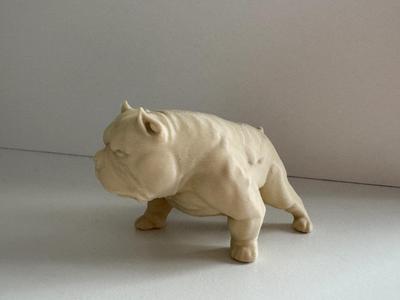 Bulldog