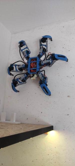 Hexapod Wall mount (make your pet)