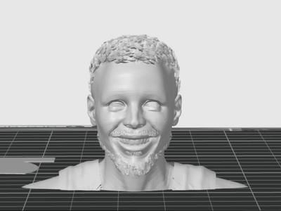 stephen curry busto