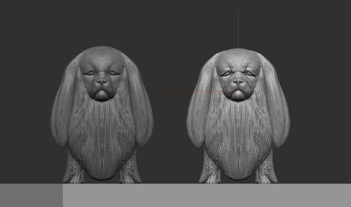 Dog : Pekingese Dog