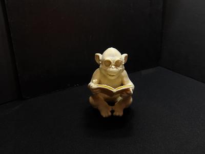 Monkey reading a book.