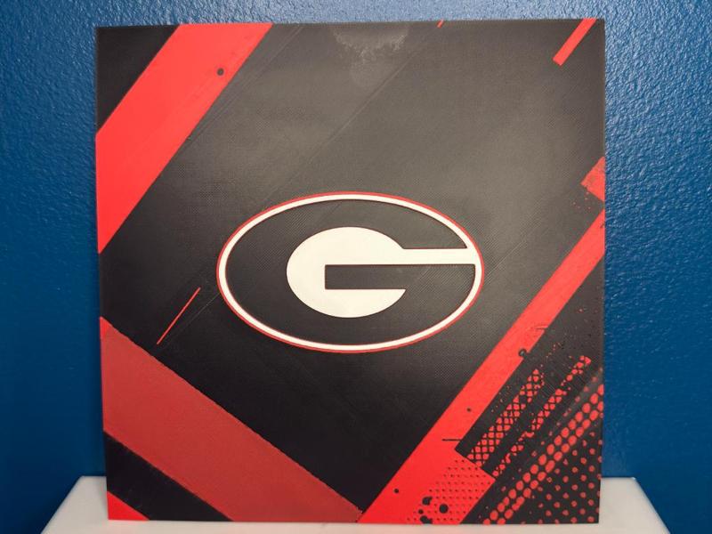 Georgia Bulldogs HueForge