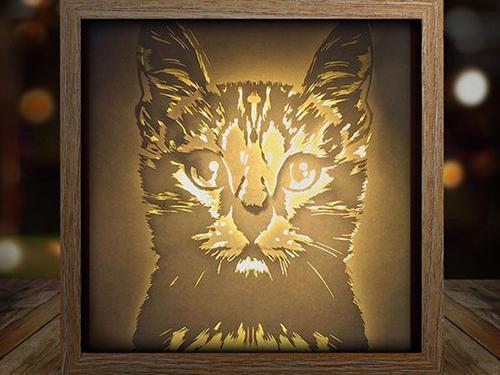 Cat Head Looking Straight 2 light box