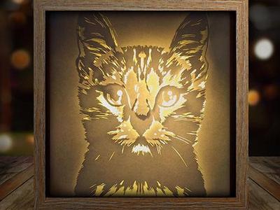 Cat Head Looking Straight 2 light box