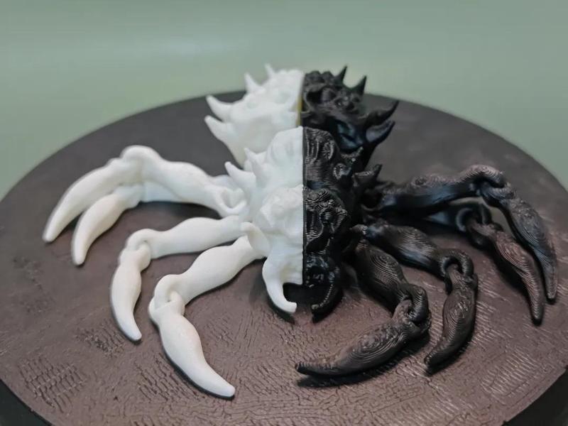 Black and White Spider Destiny Gu