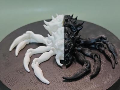 Black and White Spider Destiny Gu