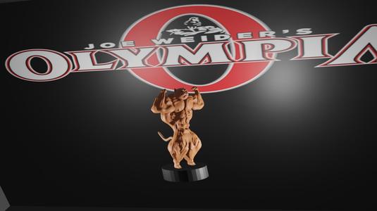 Mr Olympia bodybuilding cat