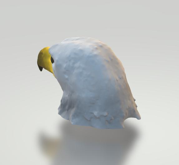 Eagle Head
