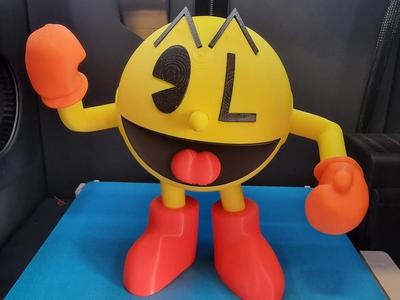 3D Pacman to assemble no AMS required 